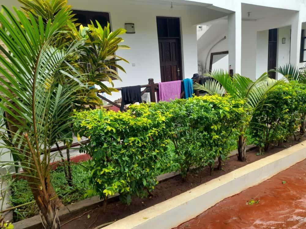 Majani Breeze Villa Nungwi Exterior photo