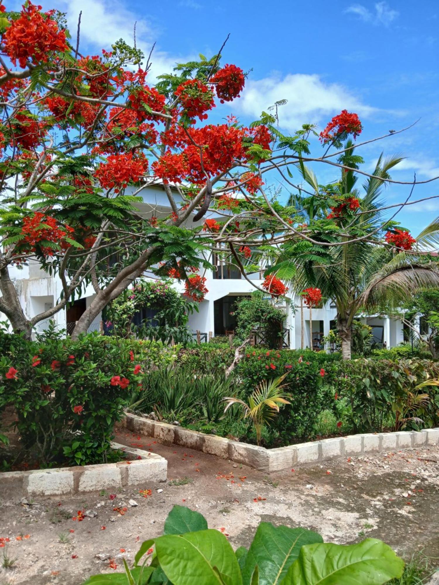 Majani Breeze Villa Nungwi Exterior photo