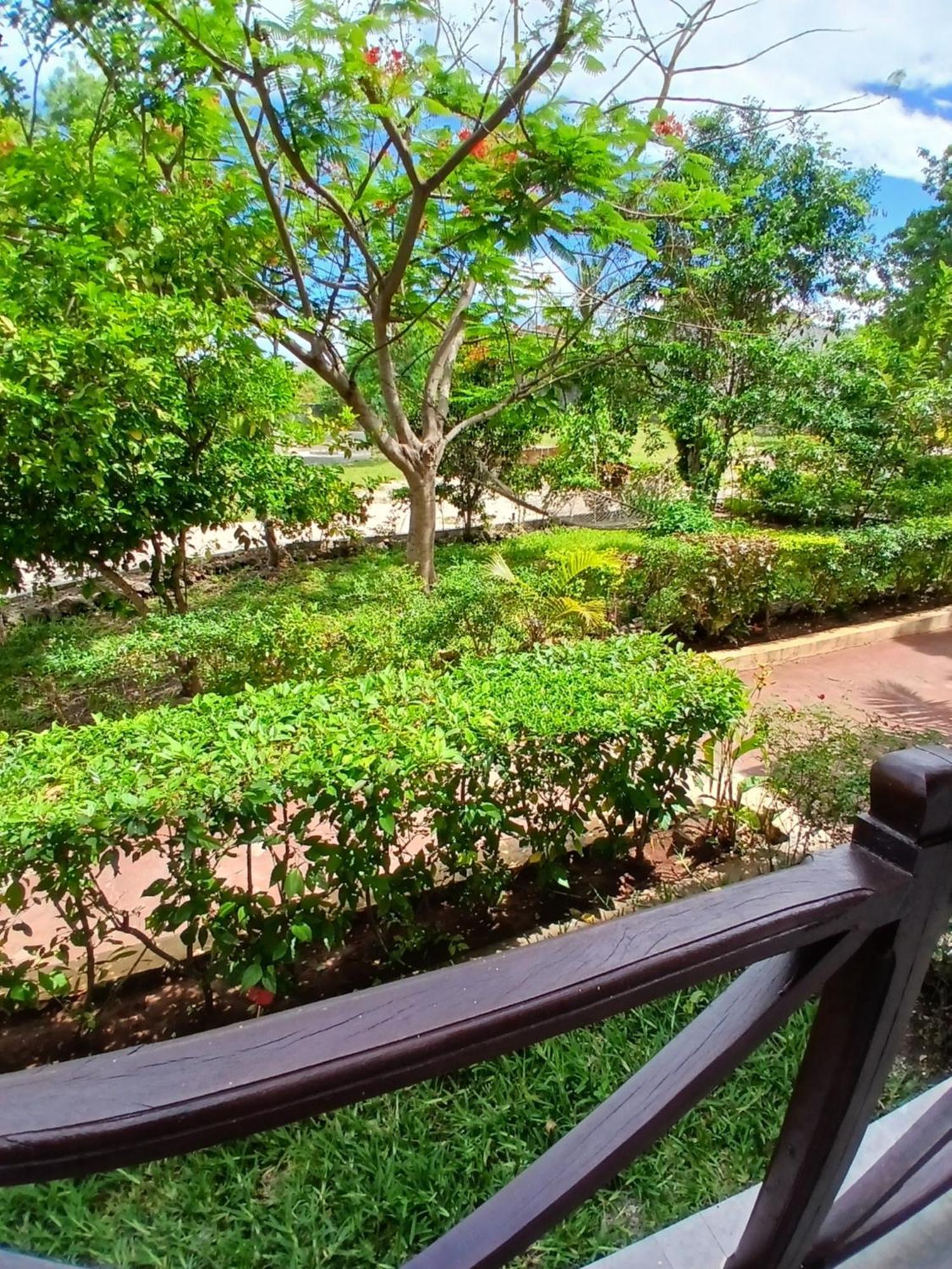 Majani Breeze Villa Nungwi Exterior photo