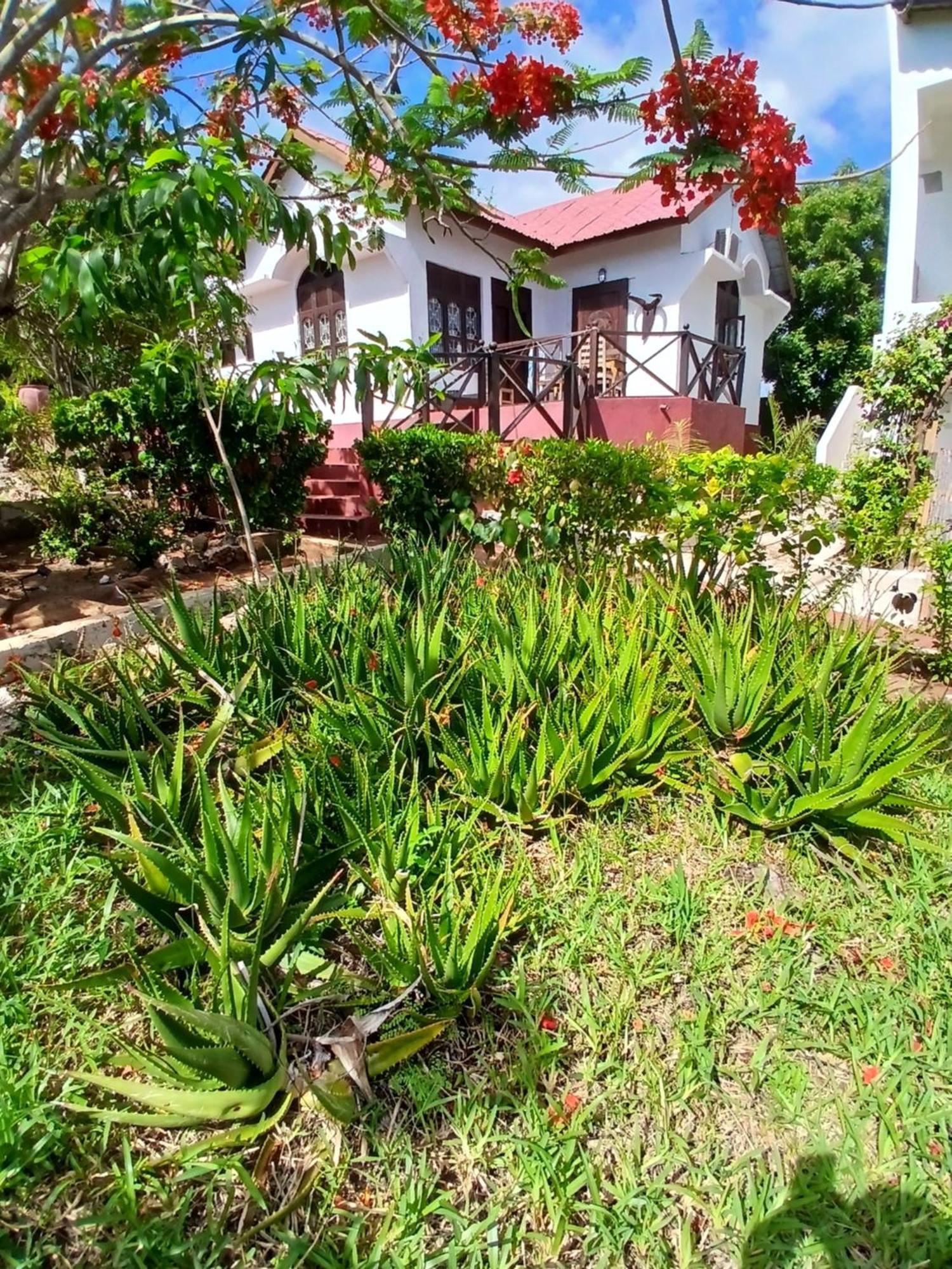 Majani Breeze Villa Nungwi Exterior photo