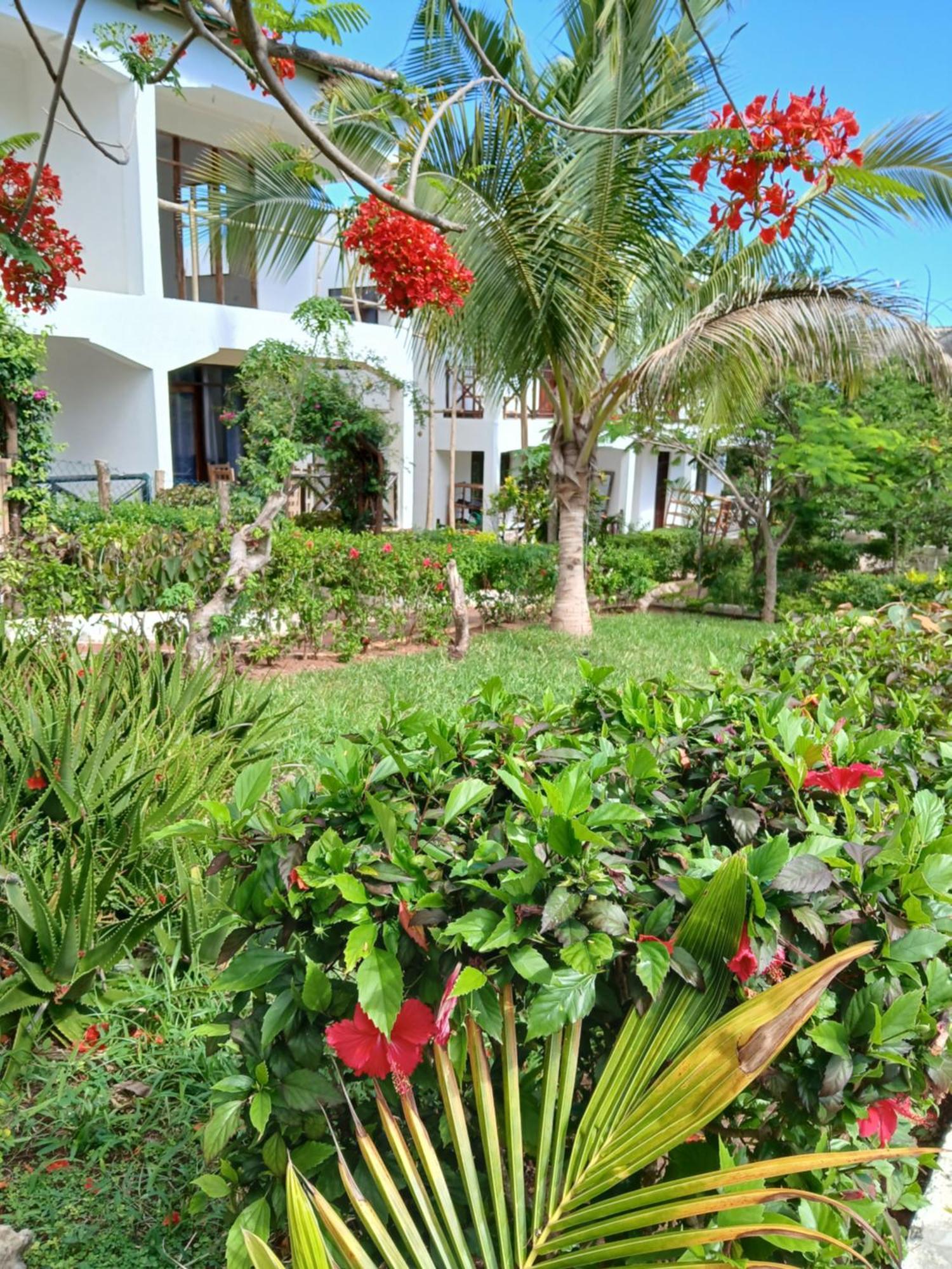 Majani Breeze Villa Nungwi Exterior photo