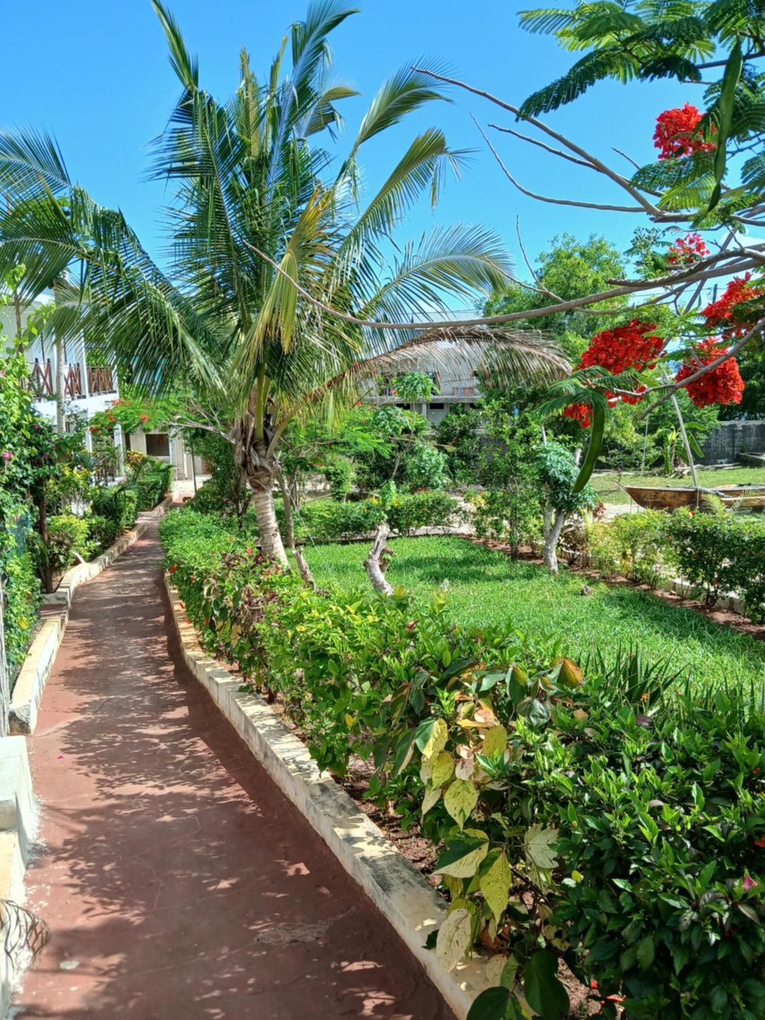 Majani Breeze Villa Nungwi Exterior photo