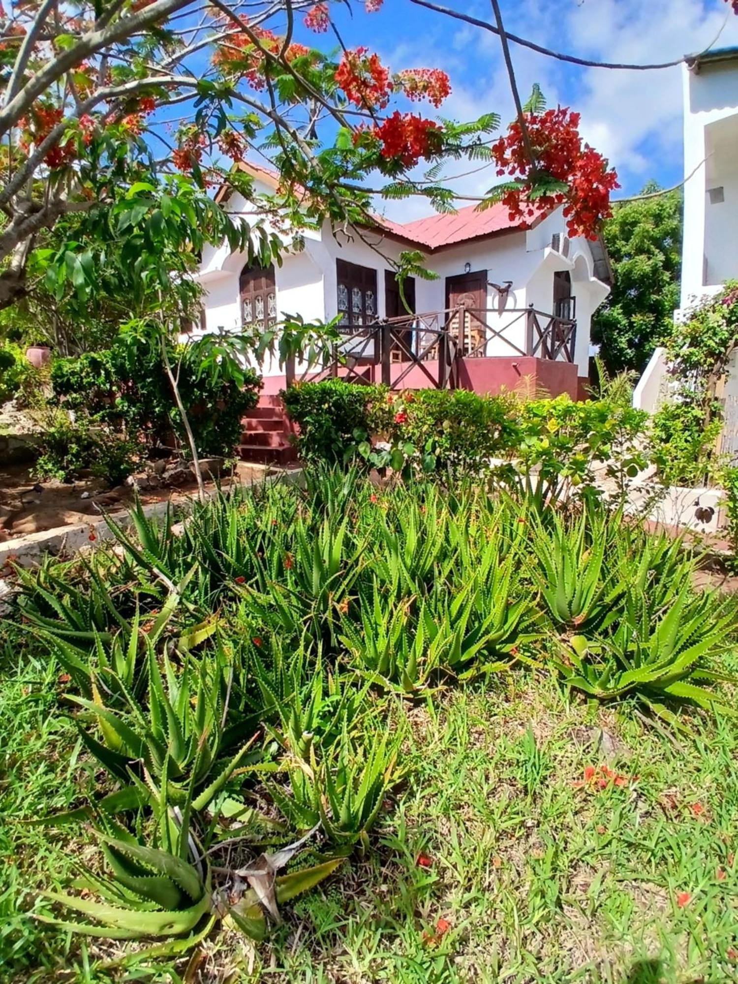 Majani Breeze Villa Nungwi Exterior photo