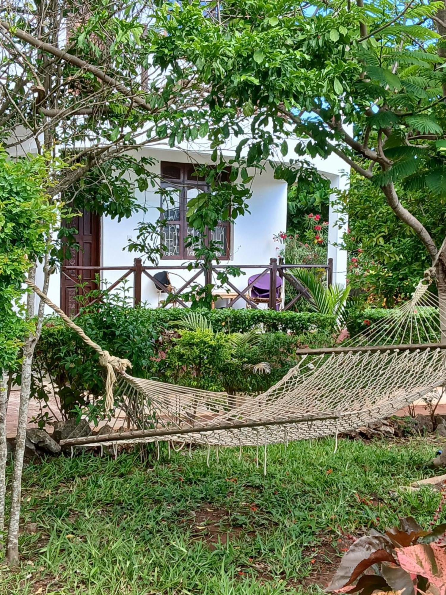 Majani Breeze Villa Nungwi Exterior photo